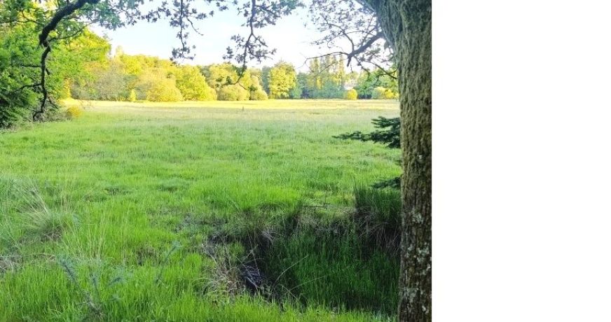 vente Maison Ploerdut