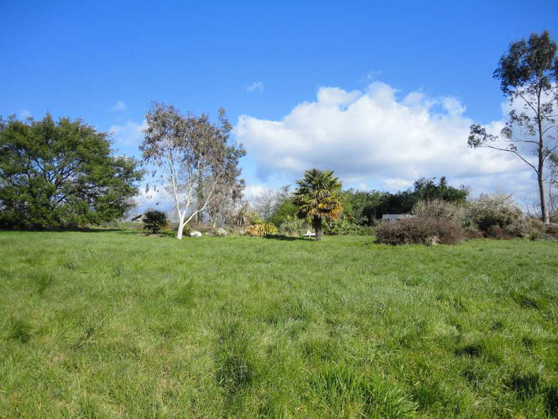 vente Maison Guiscriff - Photo 5