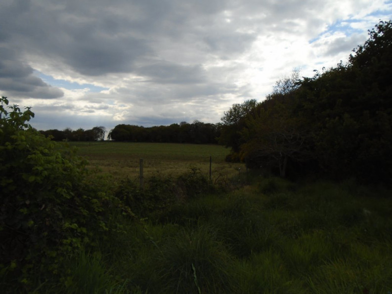 vente Maison Lanvenegen - Photo 5