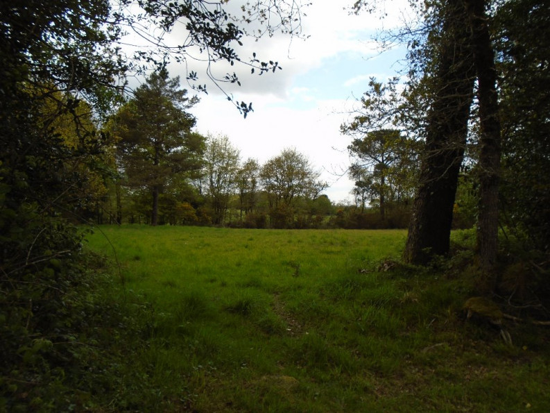 vente Maison Lanvenegen - Photo 7