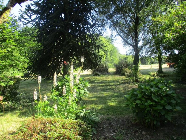 vente Longere Le Croisty - Photo 2