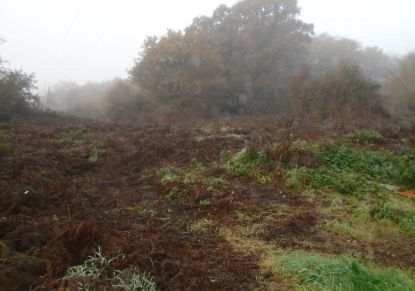 vente Terrain Le Faouet