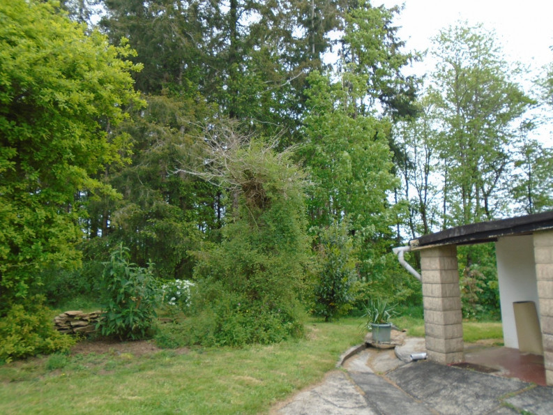 vente Maison en pierre Priziac - Photo 2