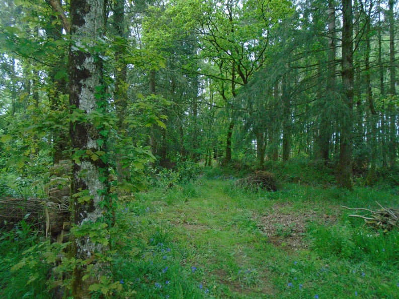 vente Maison en pierre Priziac - Photo 9