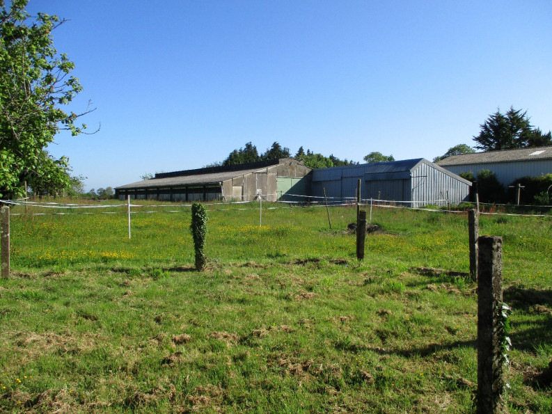 vente Maison Guiscriff - Photo 3