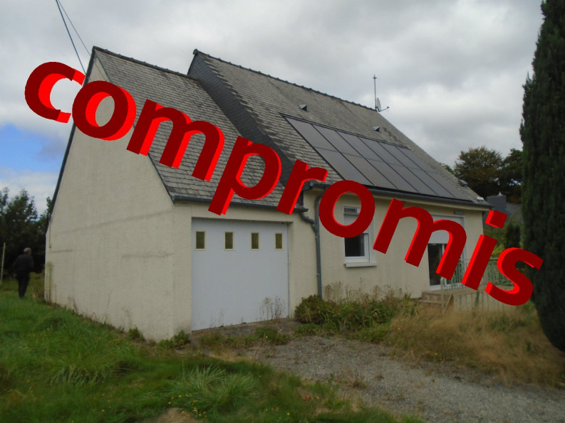 vente Maison Lanvenegen - Photo 1