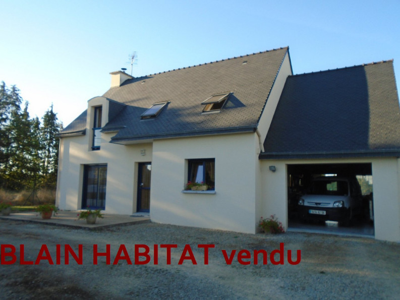 vente Maison Meslan - Photo 1