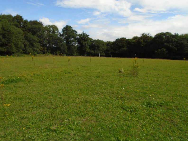 vente Maison Guiscriff - Photo 4