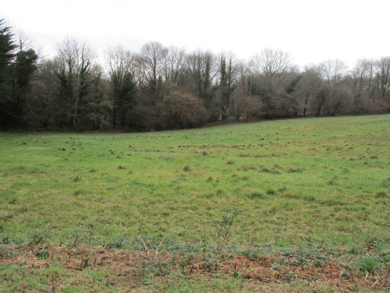 vente Terrain constructible Lanvenegen - Photo 1