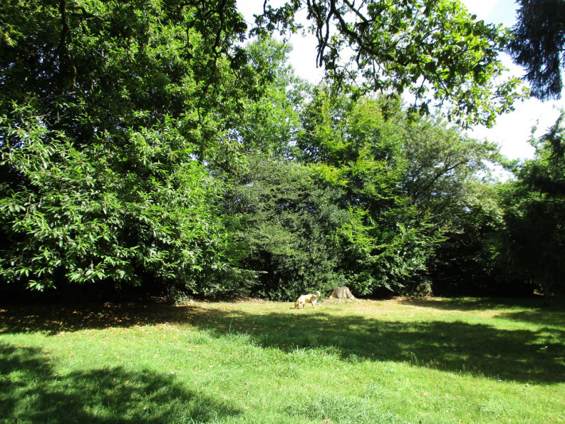 vente Maison en pierre Priziac - Photo 8