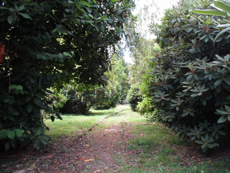 vente Maison Guiscriff - Photo 5