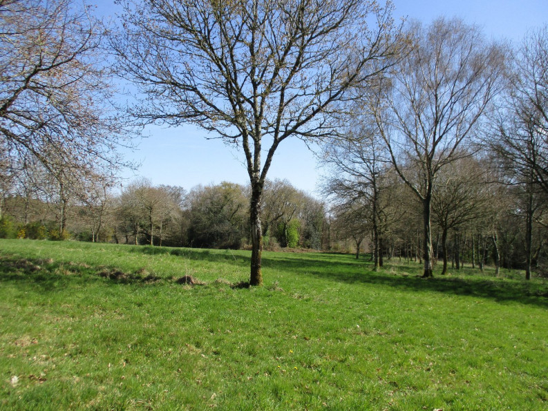 vente Terrain constructible Le Faouet - Photo 2