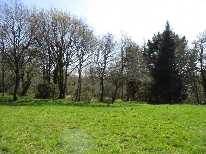 vente Terrain constructible Le Faouet - Photo 1