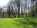 vente Terrain constructible Le Faouet