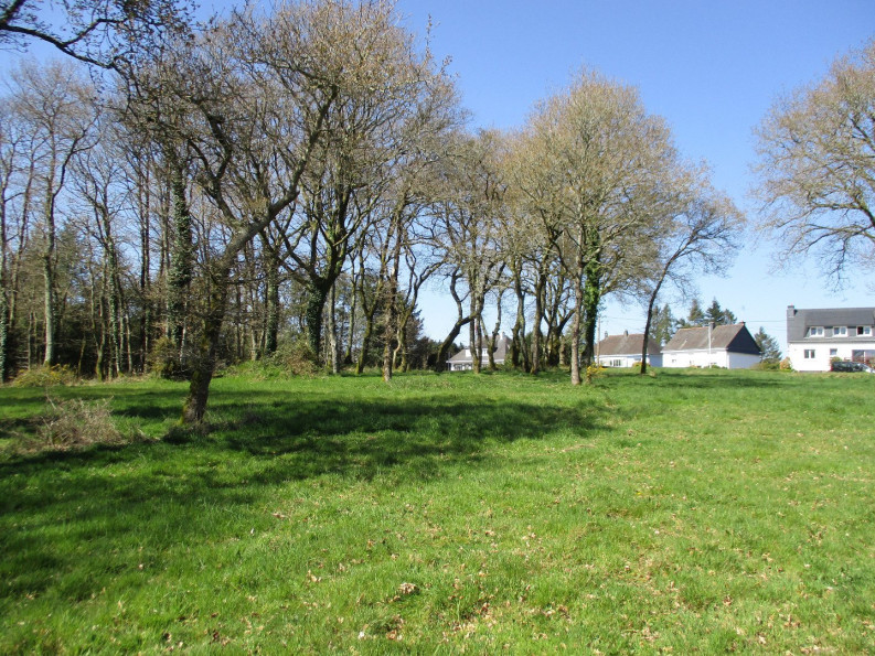 vente Terrain constructible Le Faouet - Photo 7