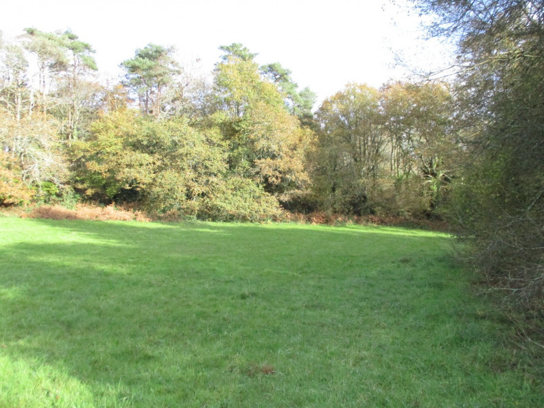 vente Terrain agricole Le Faouet - Photo 3