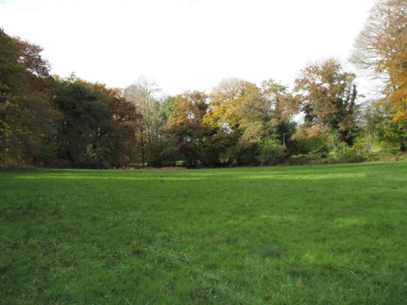 vente Terrain agricole Le Faouet - Photo 4