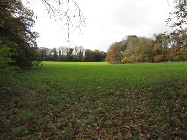 vente Terrain agricole Le Faouet - Photo 1