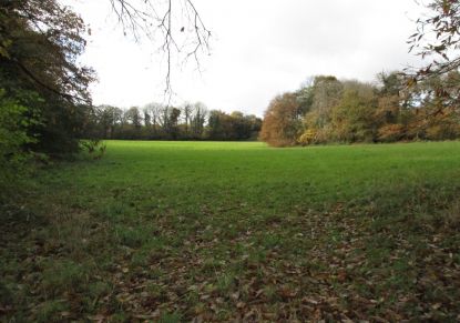 vente Terrain agricole Le Faouet