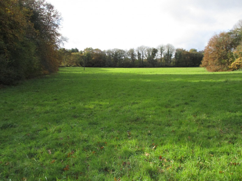 vente Terrain agricole Le Faouet - Photo 2