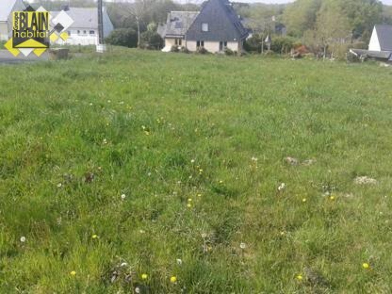 vente Terrain constructible Priziac - Photo 3