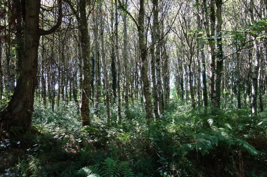 vente Maison Lescouet Gouarec - Photo 10