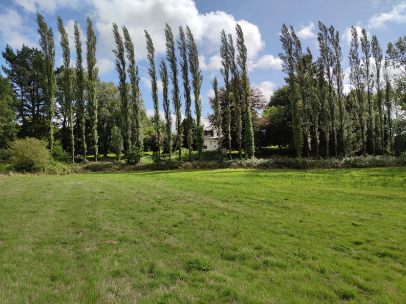 vente Maison Langonnet - Photo 3