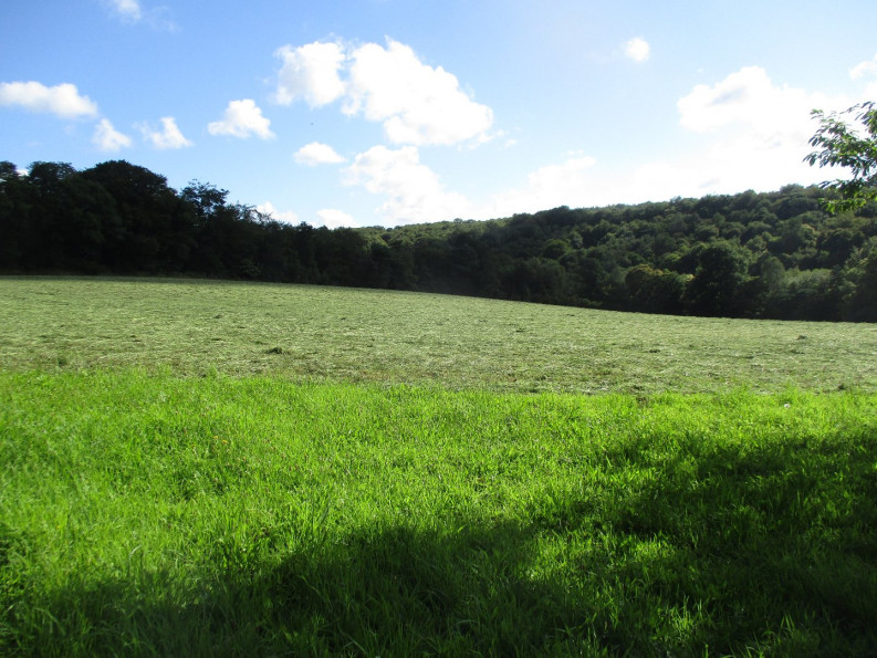 vente Maison Le Faouet - Photo 4