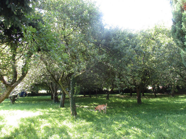 vente Maison Le Faouet - Photo 7