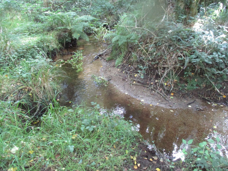 vente Maison Le Faouet - Photo 9