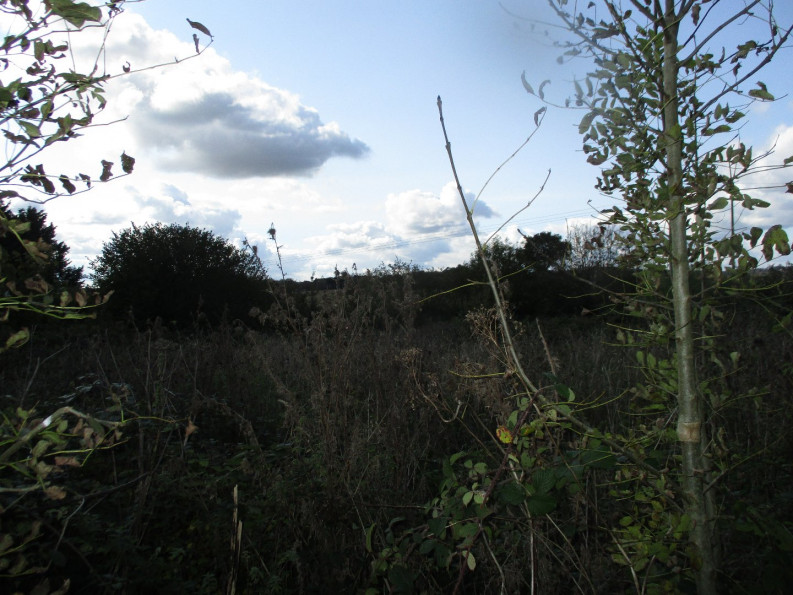 vente Maison à rénover Langonnet - Photo 8