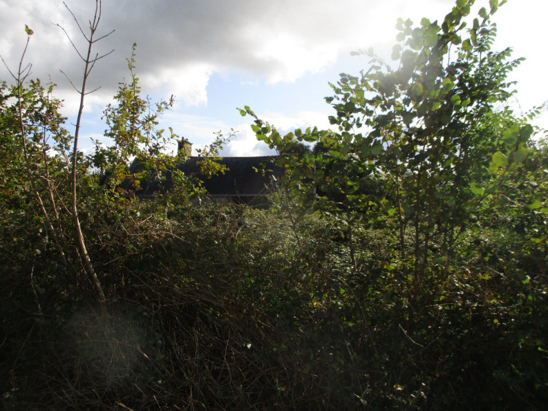 vente Maison à rénover Langonnet - Photo 10