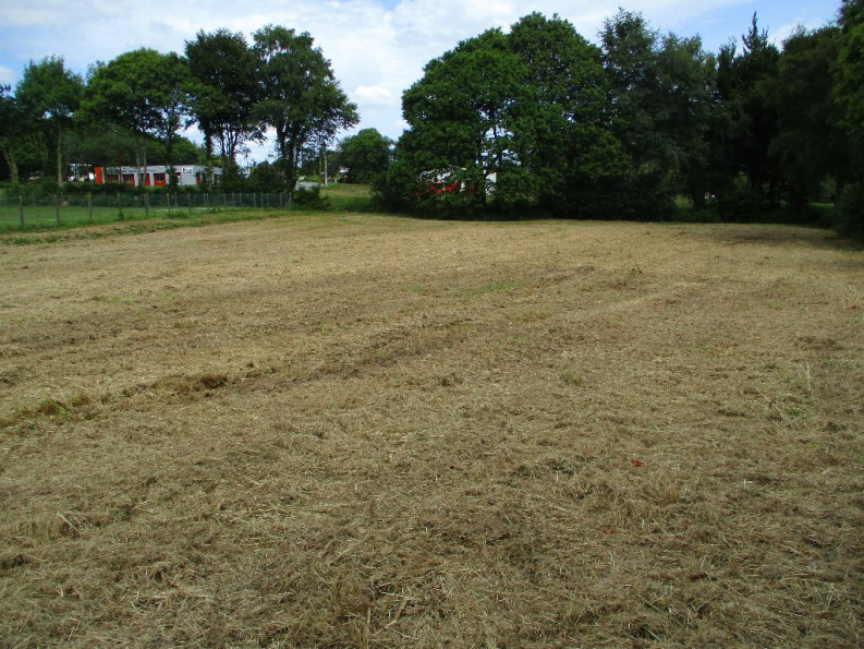 vente Terrain Le Faouet - Photo 1