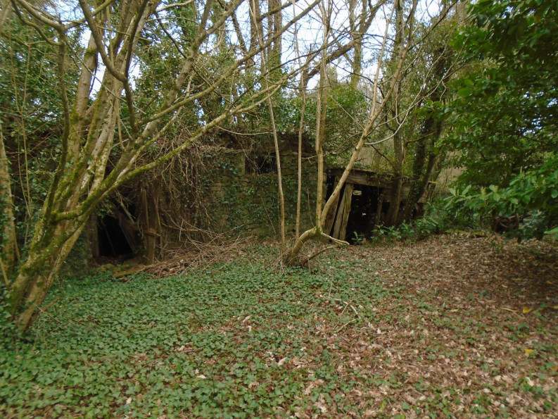 vente Maison Priziac - Photo 3