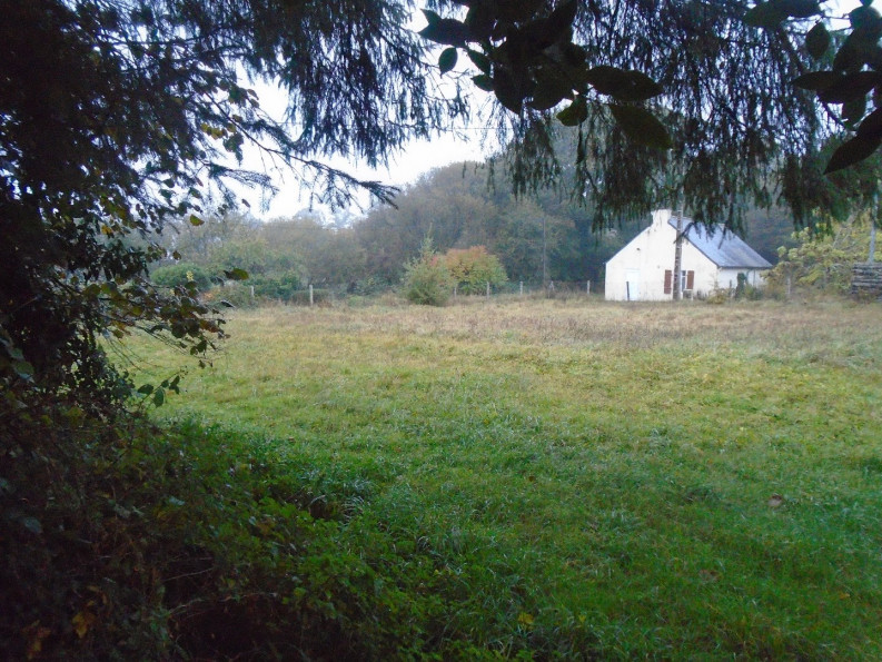 vente Maison Priziac - Photo 10