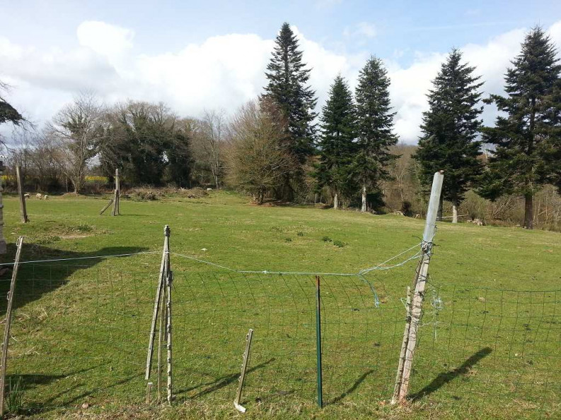 vente Maison Priziac - Photo 6