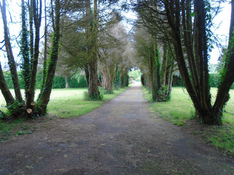 vente Maison Langonnet - Photo 2