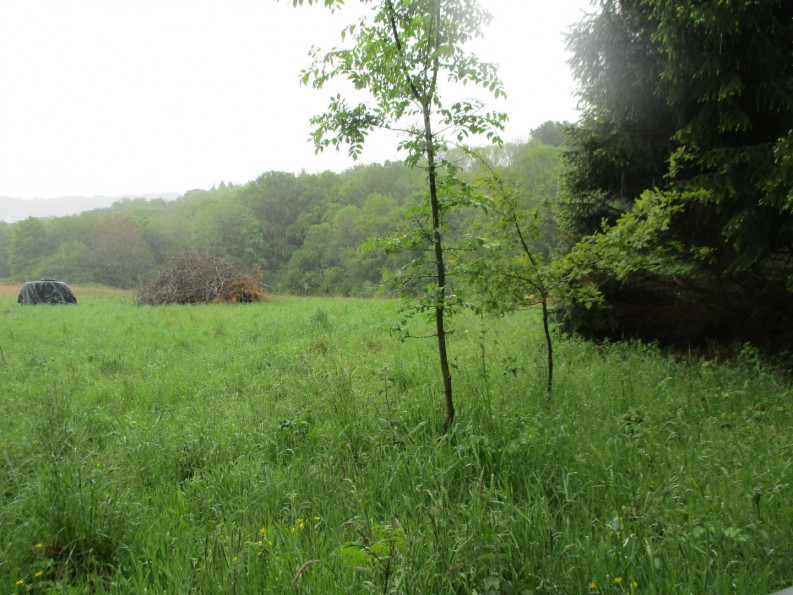 vente Maison Le Faouet - Photo 3