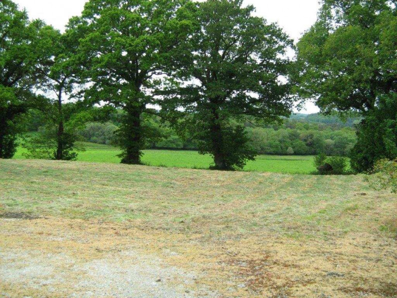 vente Maison Berne - Photo 4