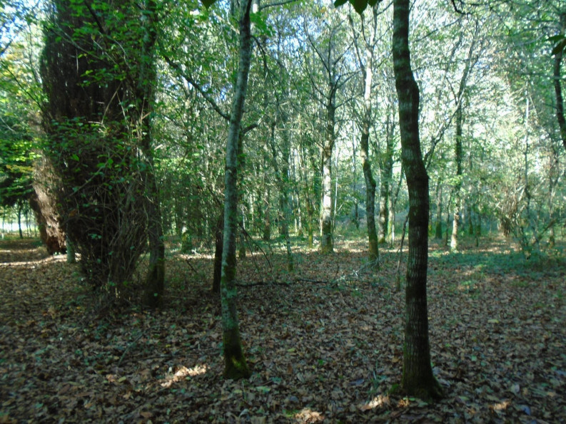 vente Maison Le Faouet - Photo 3