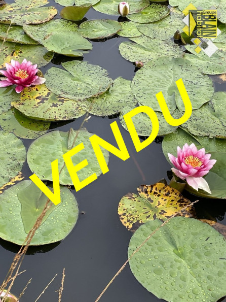 vente Terrain Guiscriff - Photo 1