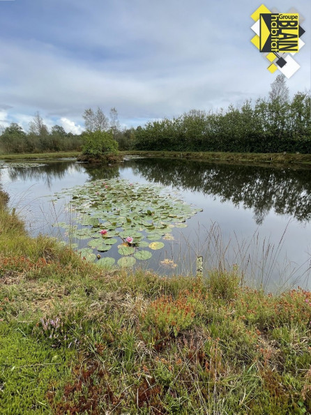 vente Terrain Guiscriff - Photo 4