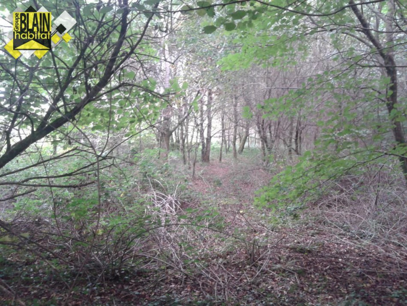 vente Terrain Guiscriff - Photo 2