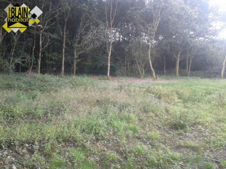 vente Terrain Guiscriff - Photo 3