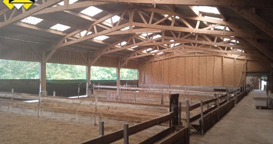 vente Propriété Langonnet