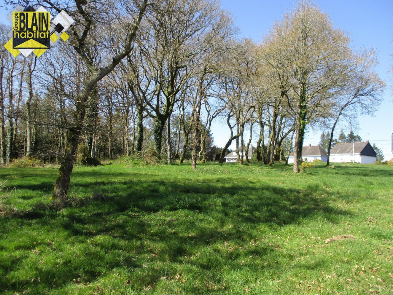 vente Terrain constructible Le Faouet - Photo 5