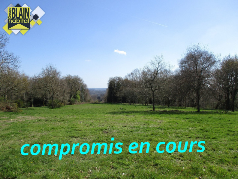 vente Terrain constructible Le Faouet - Photo 1