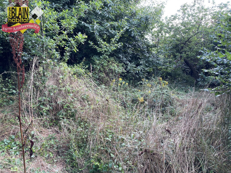 vente Terrain constructible Lanvenegen - Photo 1