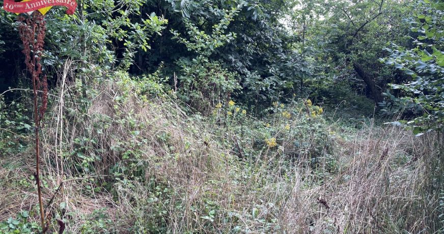 vente Terrain constructible Lanvenegen