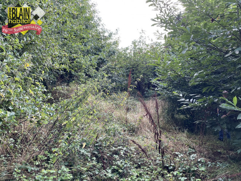 vente Terrain constructible Lanvenegen - Photo 2